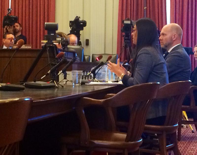 Former aide for New Jersey Gov. Chris Christie, Christina Renna, testifies before the state legislature's Bridgegate investigative committee. 