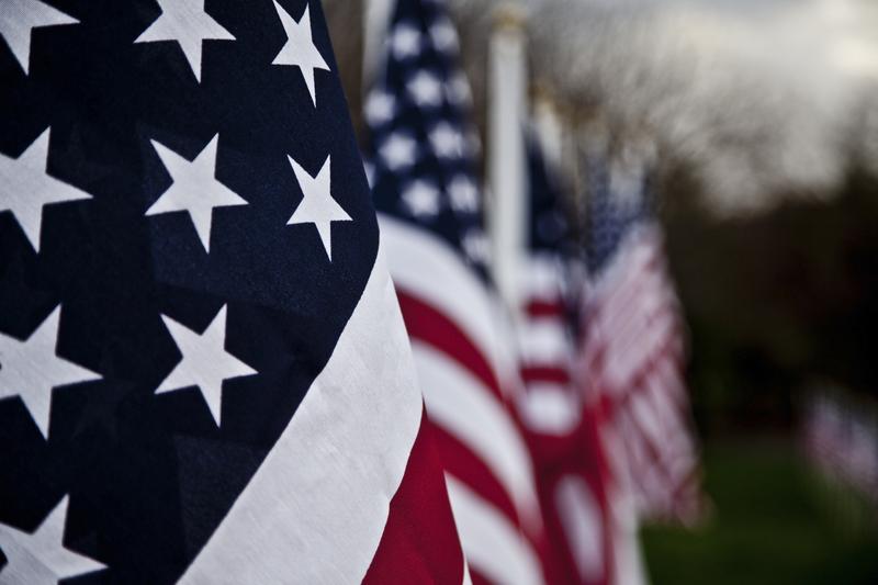 Veteran's Day Flags