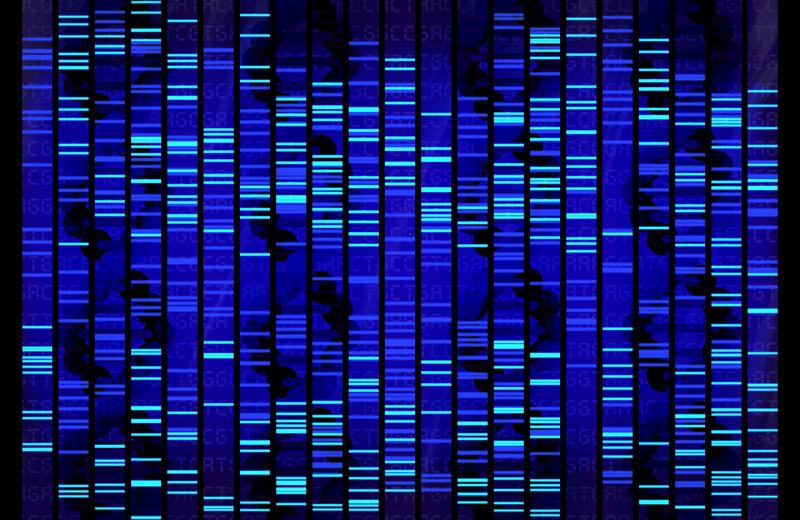 DNA Sequence