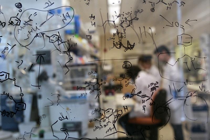 Ten years after the completion of the human genome project, this genomics hub, the Broad Institute, has become a major scientific powerhouse.