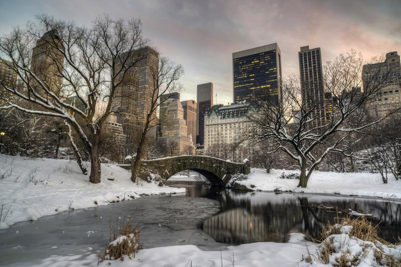 Winter in Central Park.