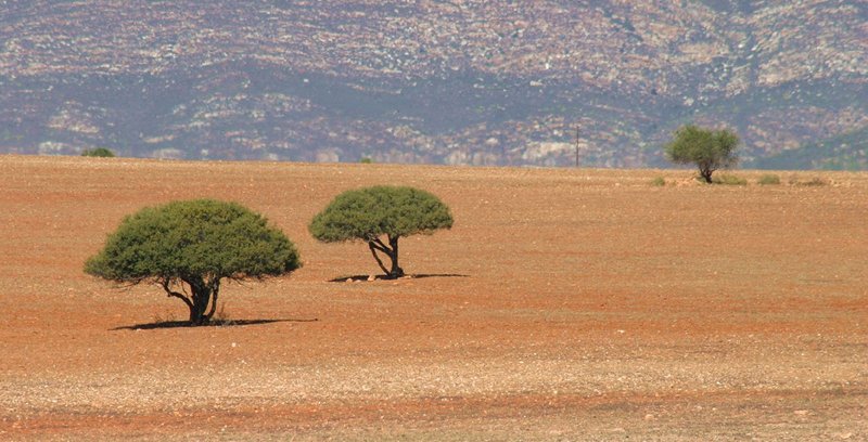 South African landscape