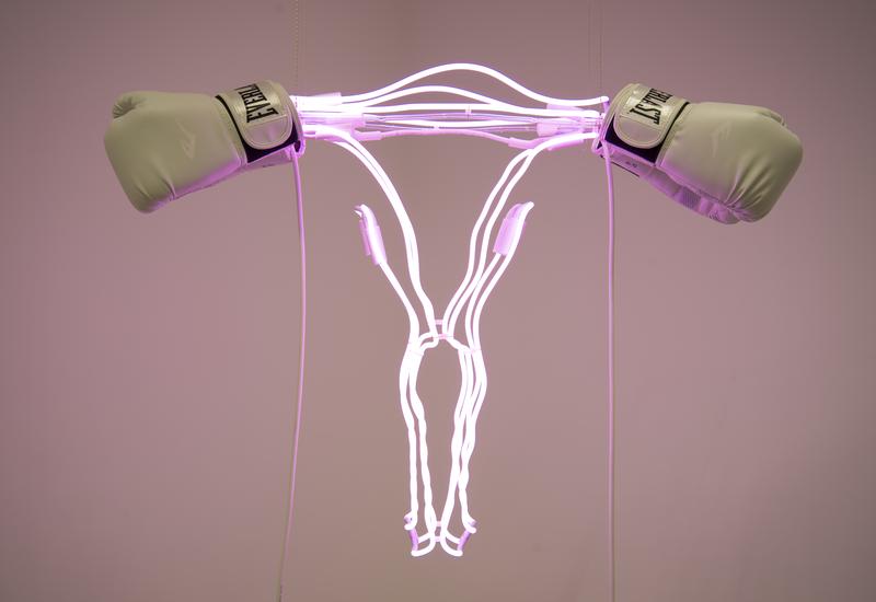 for_freedoms_super_pac_gender_equality