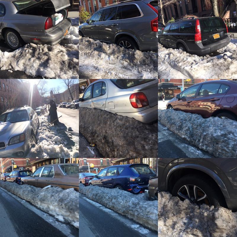 Despite the coating of snow and ice, these cars are all subject to 'alternate side parking rules'.